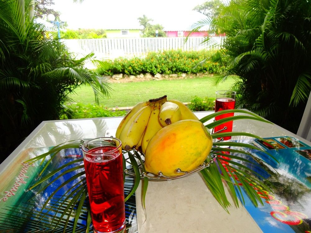 Location de vacances Domaine de may Guadeloupe